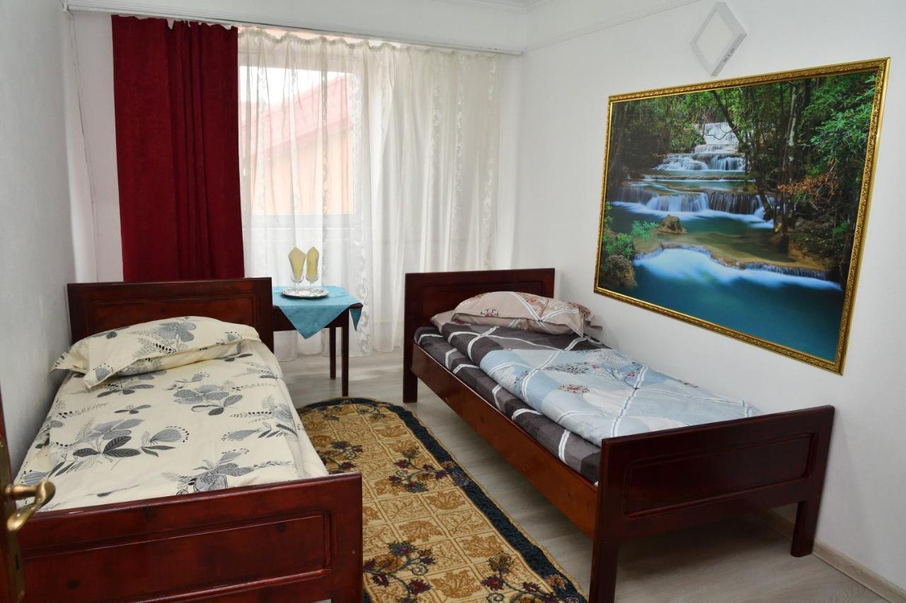 Caransebeş Casa Simescu I旅舍 外观 照片