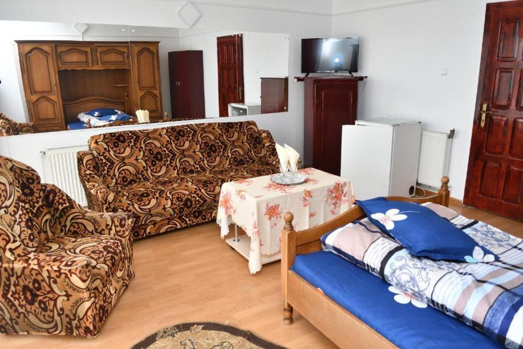 Caransebeş Casa Simescu I旅舍 外观 照片